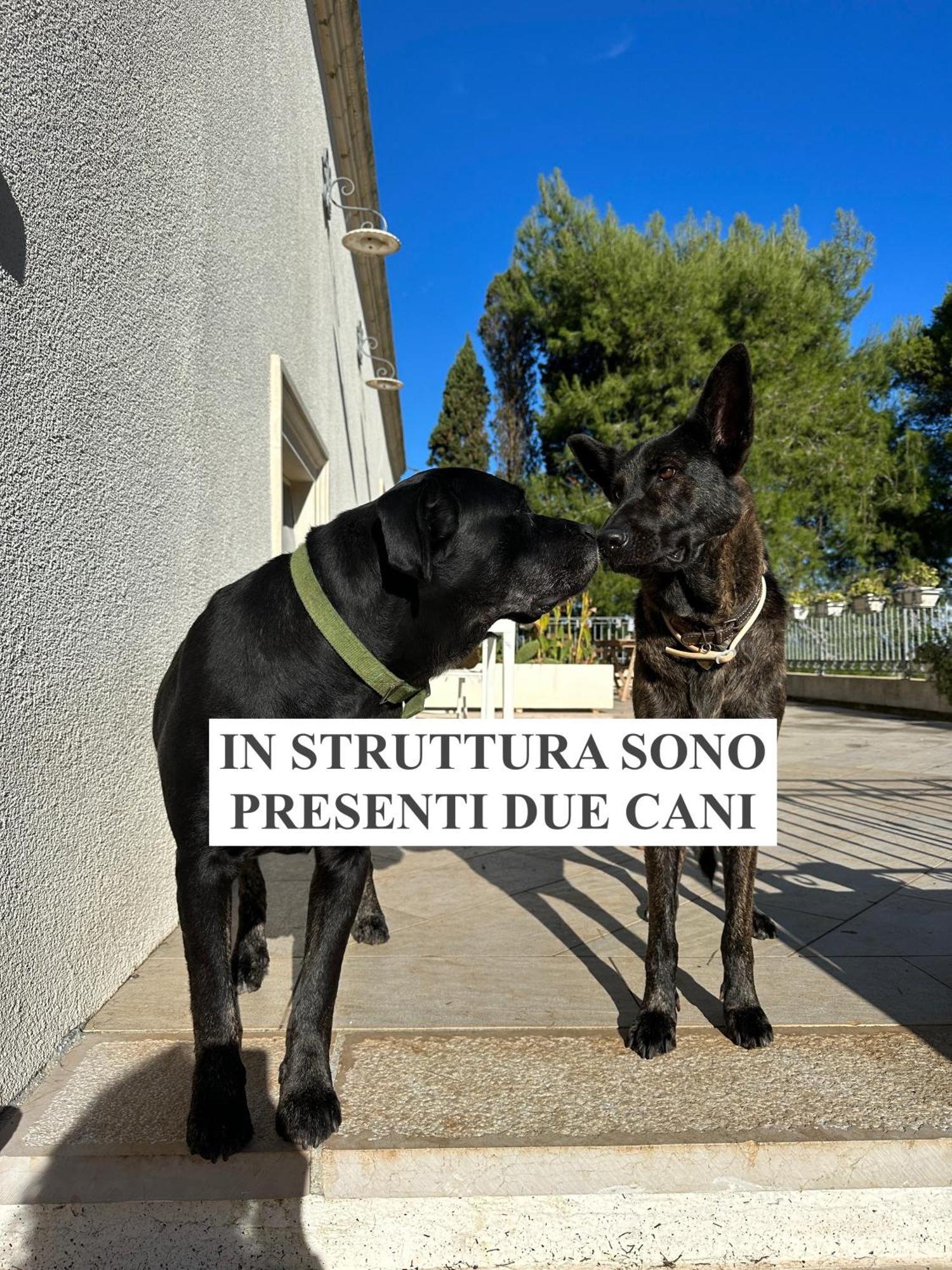 La Dimora Di Ulisse Aparthotel Santa Cesarea Terme Εξωτερικό φωτογραφία