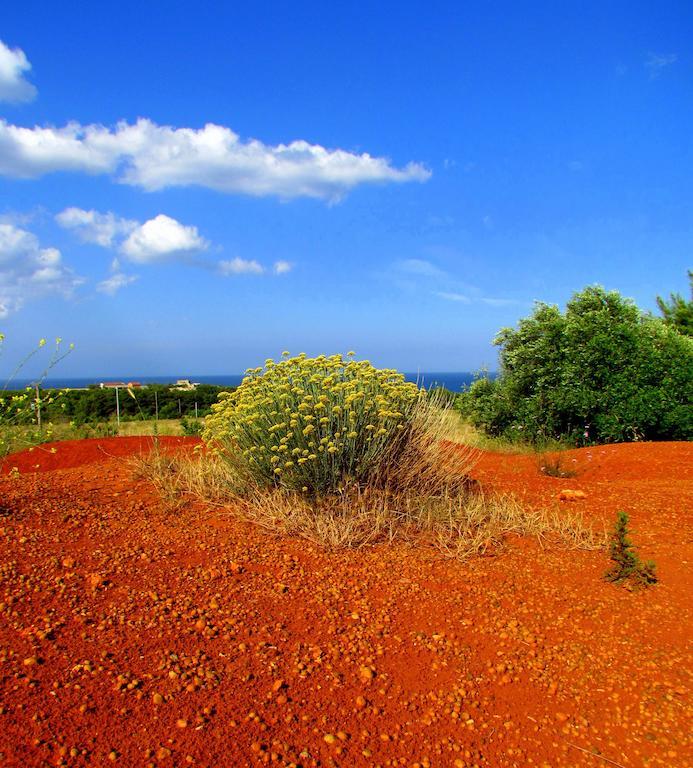 La Dimora Di Ulisse Aparthotel Santa Cesarea Terme Εξωτερικό φωτογραφία