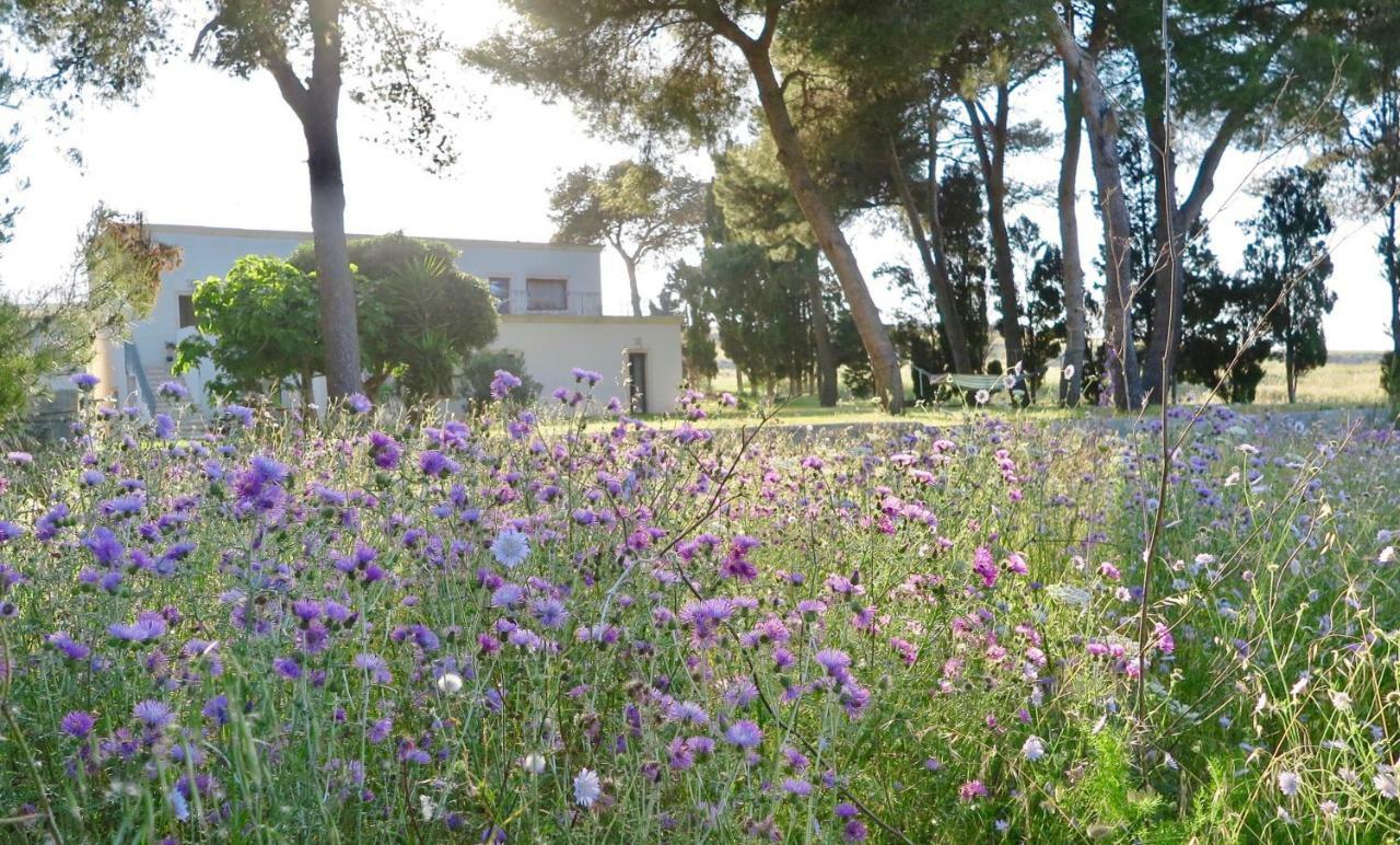 La Dimora Di Ulisse Aparthotel Santa Cesarea Terme Εξωτερικό φωτογραφία